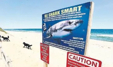 Köpek balığının saldırdığı sörfçü hayatını kaybetti
