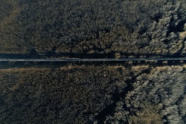 Bozkırın kuş cenneti 'Sultan Sazlığı'
