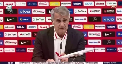 Şenol Güneş: İtalya maçında bu duyguyla oynayacaklar