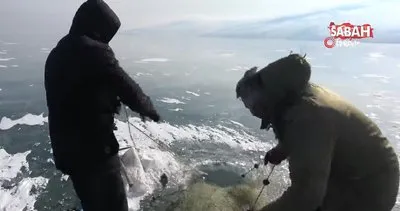 Balıkçılar Çıldır Gölü’nde eksi 20 derecede, Eskimo usulü balık avlıyor | Video