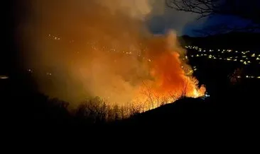 Sakarya’nın iki ilçesindeki orman yangınları kontrol altına alındı