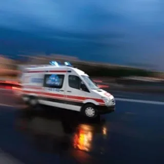 Bingl'de otomobil ineğe çarptı: 1 yaralı