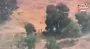 Burkina Faso ordusu 3 bin teröristin saldırısını Bayraktar TB2’yle önledi | Video