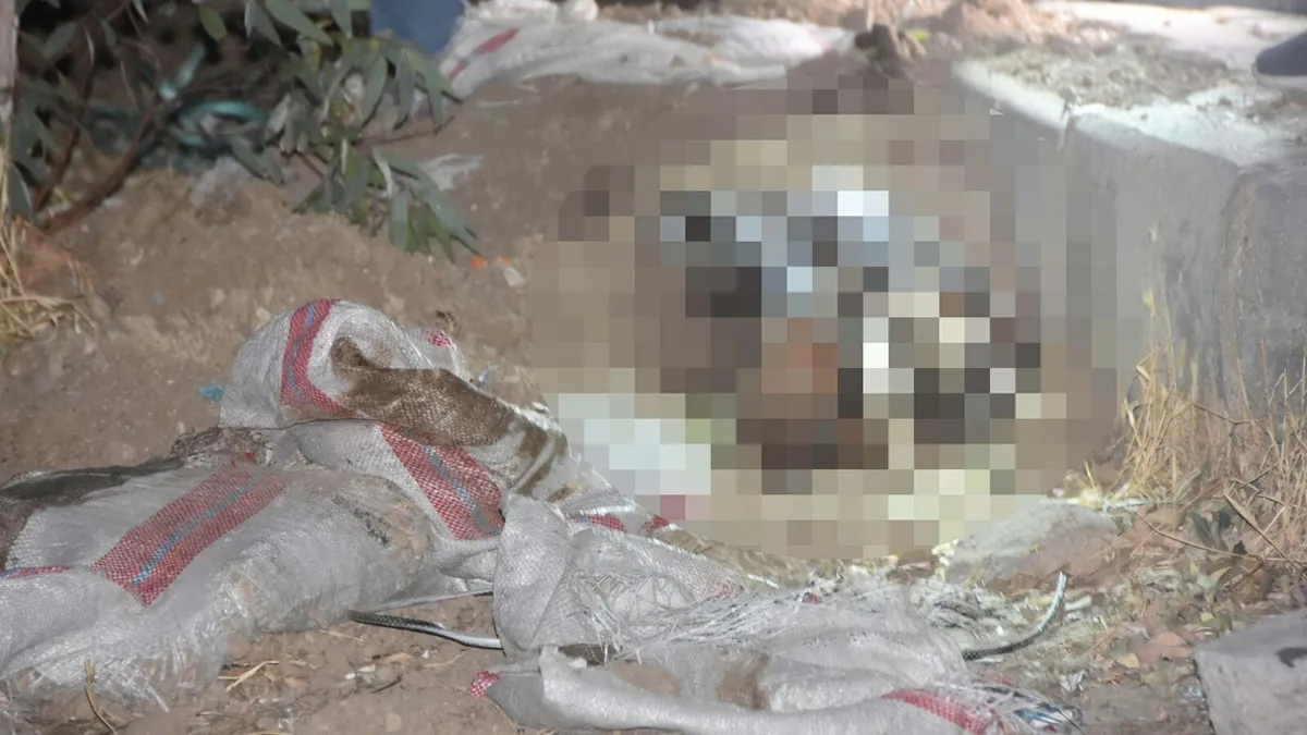 Bodrum'daki 'çuval' cinayetinde flaş: Ortaya çıkan detaylar kan dondurdu! İşte o canilere istenen ceza...