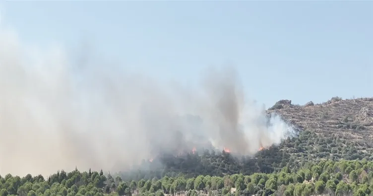 İzmir’de orman yangını kontrol altına alındı!