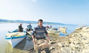 Manisa’dan balık ihracı