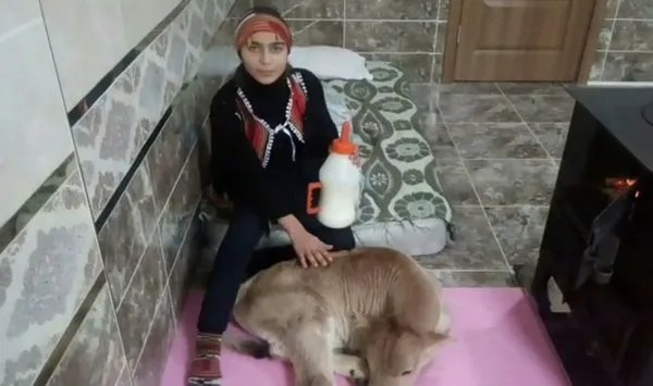 Hamdu Sena'nın yeni fotoğrafları sosyal medyada günün olayı oldu