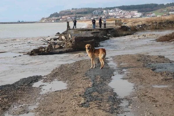 Edirne felaketi yaşıyor, sel sularına dayanamayan köprü yıkıldı