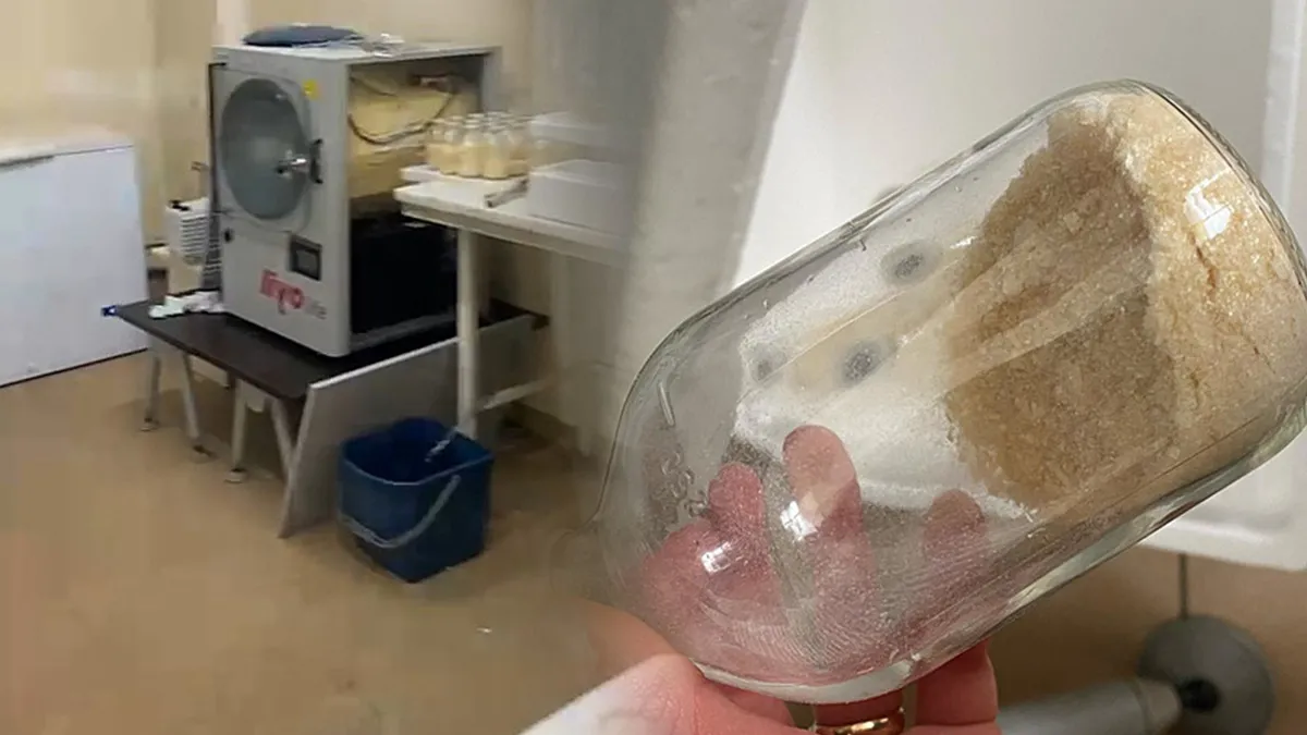 Gen Tedavisi Sahtekarlığı Alarmı! MS, Kanser ve Serebral Palsili Hastalar Mağdur Edildi