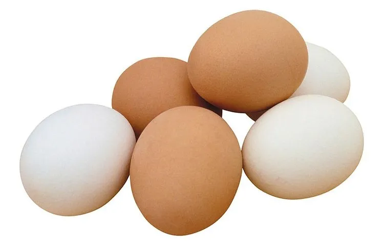 Yediğimiz yumurtalar bizi zehirliyor mu?