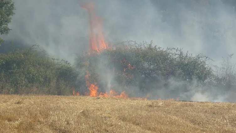 SON DAKİKA: Hatay, Mersin ve Çanakkale'de orman yangını! Alevlerle mücadele sürüyor: Bakanlar son bilançoyu açıkladı
