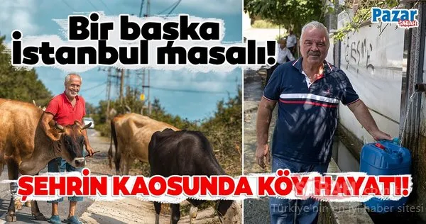 Bir başka İstanbul masalı! İşte İstanbul'daki köy yaşamı...