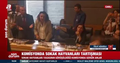 CHP ve DEM’li vekillerden provokasyon! Başıboş köpek düzenlemesinin görüşüldüğü komisyonu sabote ettiler