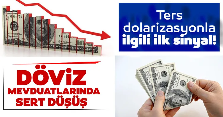 Döviz mevduatlarında Ağustos 2020’den bu yana en sert düşüş!