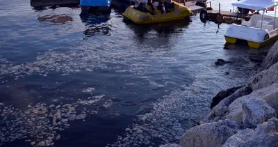 Müsilaj deniz salyası kabusu Avcılar Sahili’ne de sıçradı