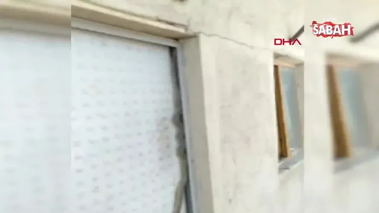 Kapıya tırmanan yılan korkuttu | Video