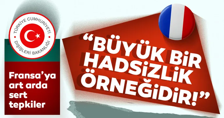 Dışişleri Bakanlığı'ndan flaş Fransa açıklaması
