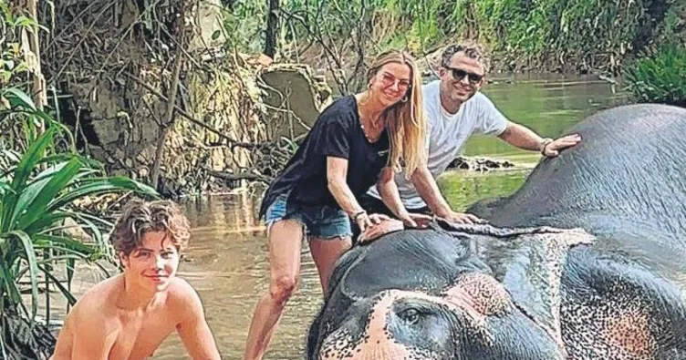 Safari yaptılar filleri yıkadılar