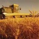 Tarihte bugün 28 Kasım