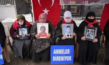 Muşlu aileler, DEM Parti önündeki