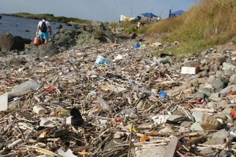 16 bin bilim insanından çevre felaketi uyarısı