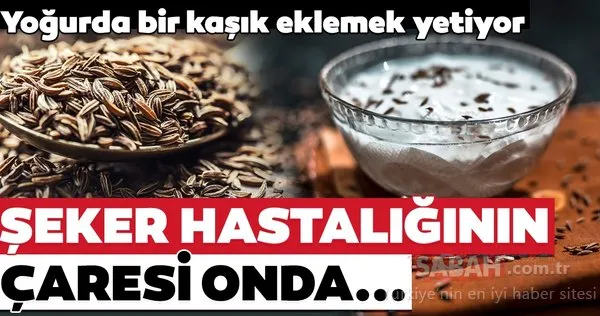 Kan şekerini düzenleyen diyabete savaş açan süper besin...