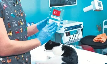 Çip taktırmak için son gün 31 aralık
