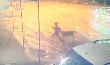Adıyaman’da sahipsiz köpek dehşeti: Çocuğu vatandaşlar kurtardı! #adiyaman