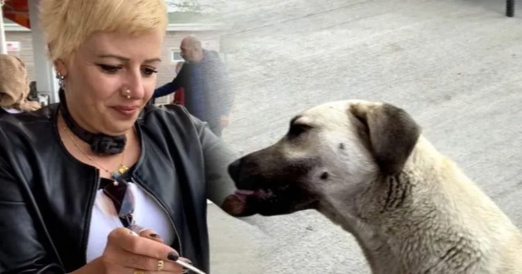 SON DAKİKA! Bu görüntü sosyal medyayı karıştırdı! Tebrik eden de oldu, tepki gösteren de...