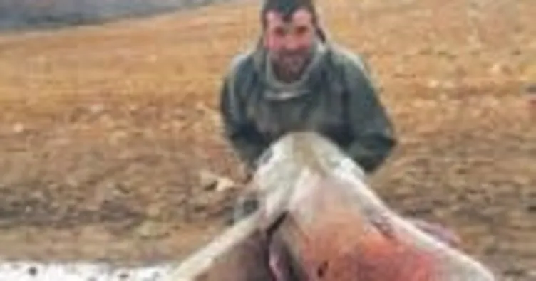 Baraj gölünde 81 kiloluk yayın balığı yakaladılar
