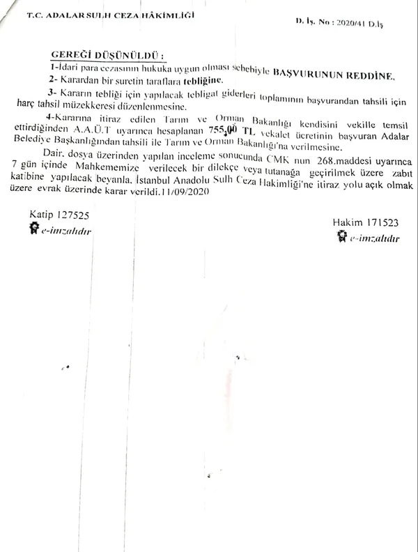 İBB'deki at skandalında yeni gelişme! Kayıp atlara kayıt dışı ilaç