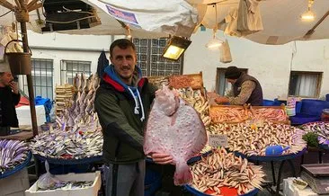 2 kilo 800 gram kalkan balığı 450 liraya alıcı buldu