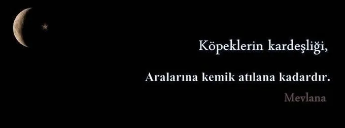 Resimli Mevlana Sozleri En Guzel Hz Mevlana Sozleri Ve Ogutleri Galeri Kultur Sanat