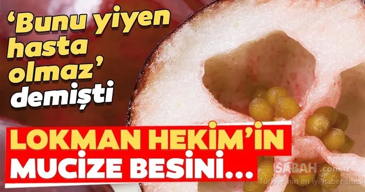 İşte Lokman Hekim’in şifa kaynağı dediği besin...