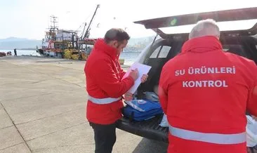 Balık sezonunda bin 248 denetim gerçekleştirildi #trabzon