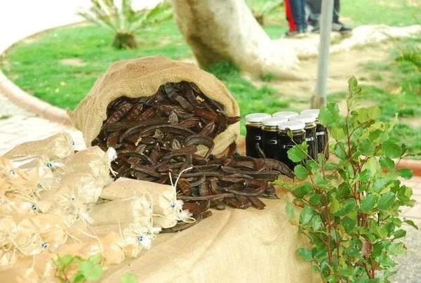 Keçiboynuzunun faydaları nelerdir?
