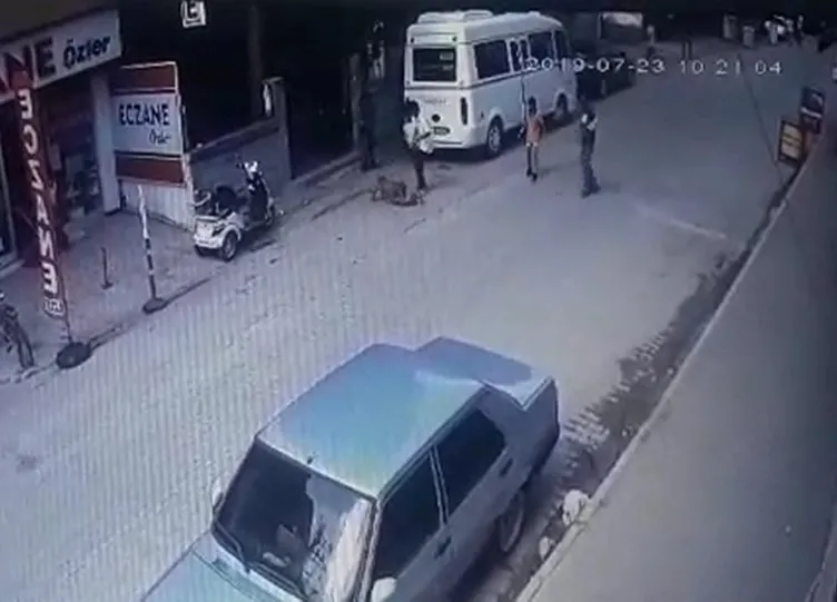 Son dakika haberi Hamile kediyi Pitbull�un ağzına attı! Sayfa 3