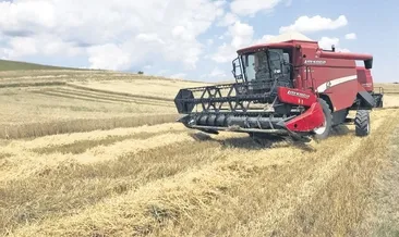 Çoban desteği 81 bine çıktı