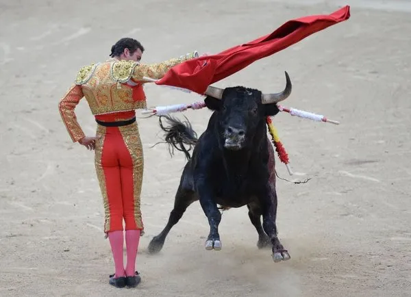 Madrid'de Boğa Güreşi