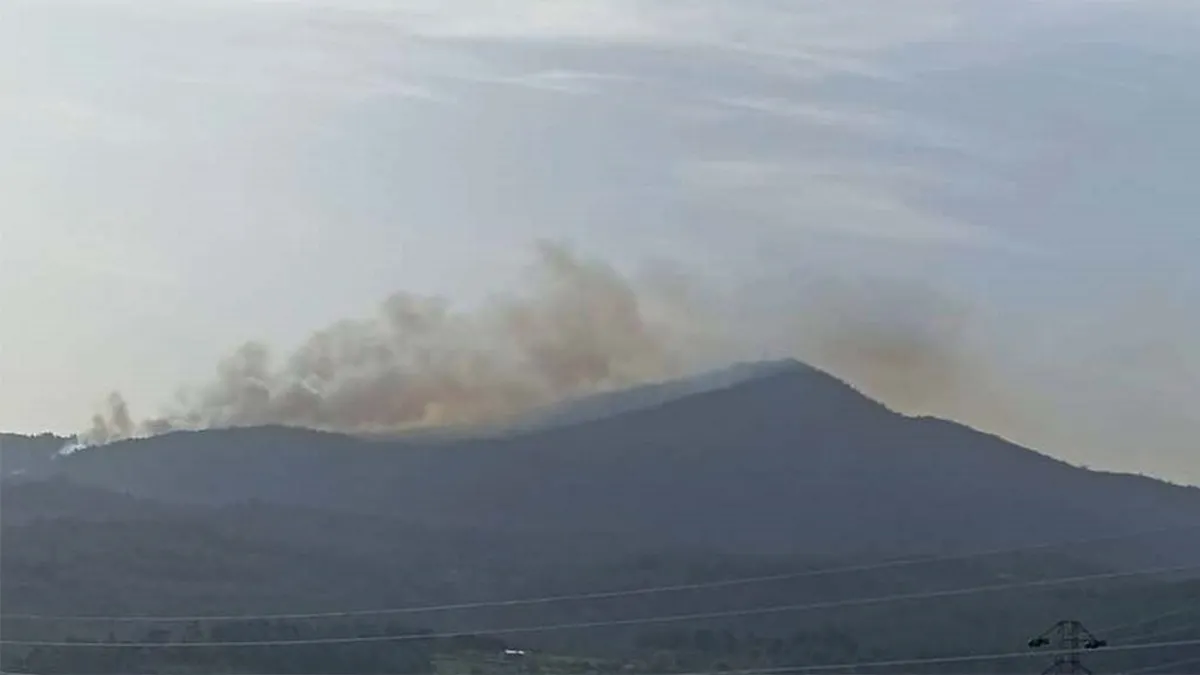 Milas’ta orman yangını: 2 hektar alan zarar gördü Milas’ta orman yangını: 2 hektar alan zarar gördü