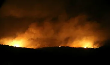 Küresel güvenliğe karşı yeni tehdit yalan haber