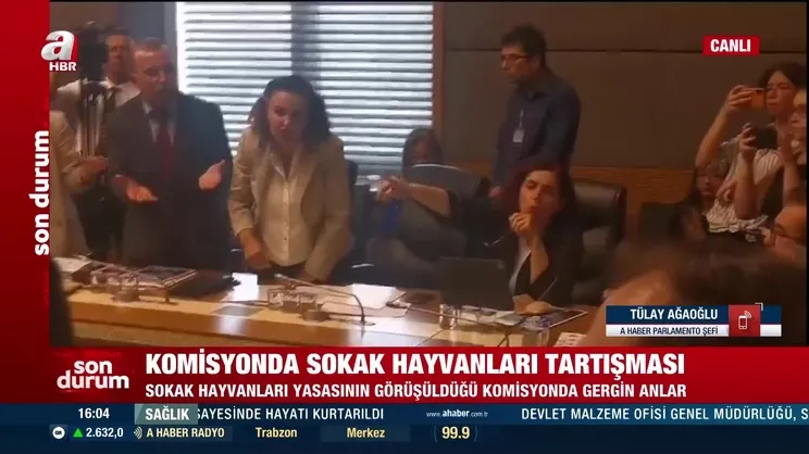 CHP ve DEM'li vekillerden provokasyon! Başıboş köpek düzenlemesinin görüşüldüğü komisyonu sabote ettiler