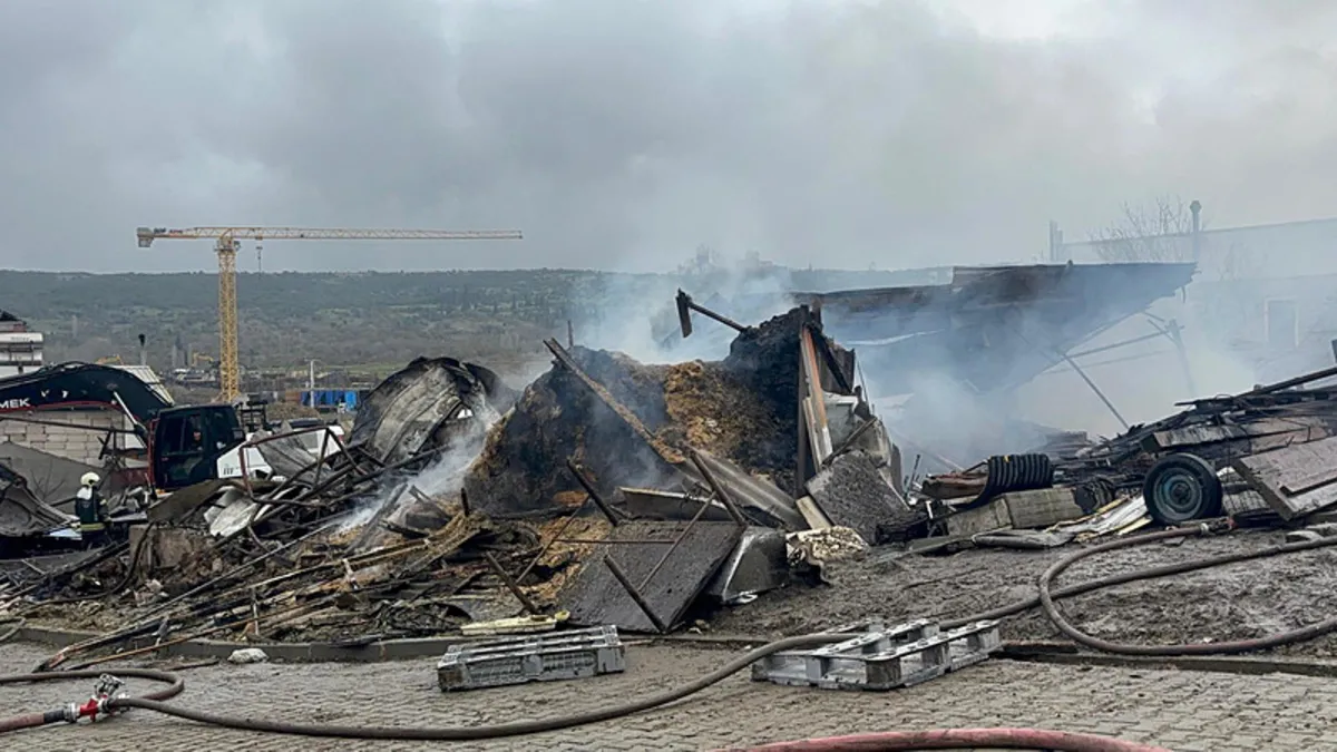 Kocaeli’de ahırda yangın! Çok sayıda hayvan telef oldu