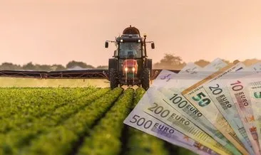 Çiftçiye destek: 81 ilde uygulanacak! 786 milyon euro tutarında...