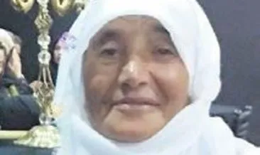 Husumetli ailelerin barış buluşması kanlı bitti: 3 ölü #van