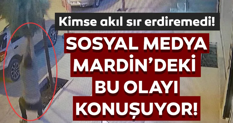 Ağacı kırma anı kamerada