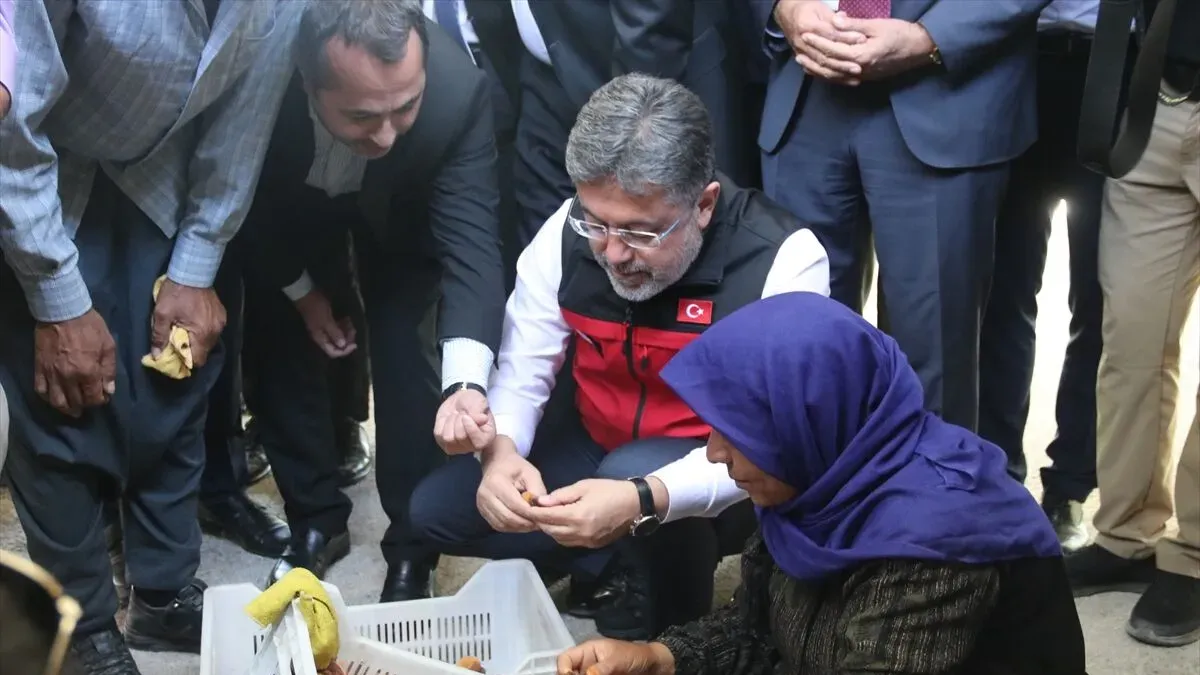 Malatya’da kayısı hasadı başladı! Bakan Yumaklı’dan TARSİM çağrısı Malatya’da kayısı hasadı başladı! Bakan Yumaklı’dan TARSİM çağrısı