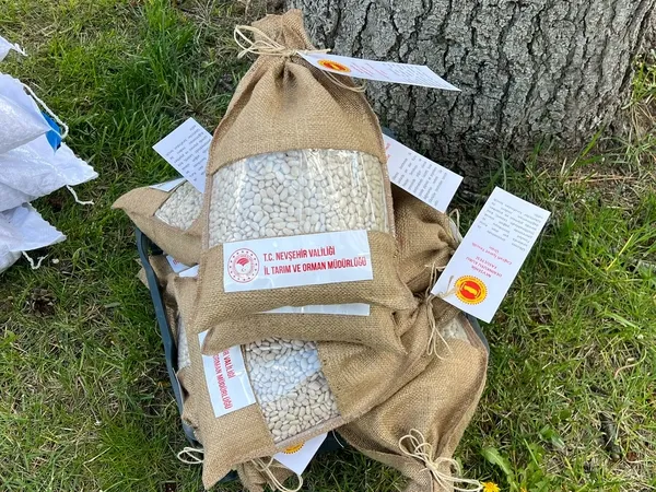 nevsehirde-79-ciftciye-22-ton-kuru-fasulye-tohumu-dagitildi-1777300732084.jpg