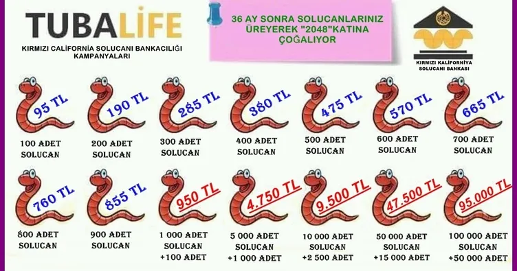 SON DAKİKA | Ãiftlik Bank'ın ardından Solucan Bank yöntemiyle 40 milyon ⬠vurgun yaptılar! Dubai'deki o kareler...