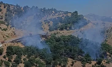 Kahramanmaraş’ta orman yangını kontrol altına alındı